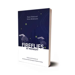 Fireflies At Midnight